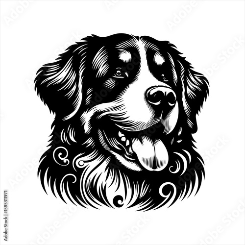 Bernese mountain dog head illustration