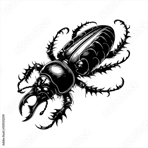 Beetle insect illustration isolated on white