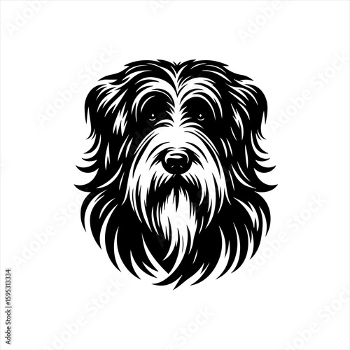 Shaggy dog face portrait