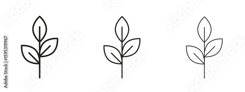 Basil icon in stroke art design versions. EPS 10