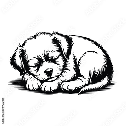 Sleeping puppy curled up in a tight ball, black and white silhouette vector illustration