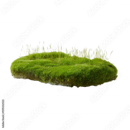 A vibrant patch of moss with delicate grass shoots sprouting, set against a white isolate background, emphasizing the lush green textures and natural beauty of the plant.