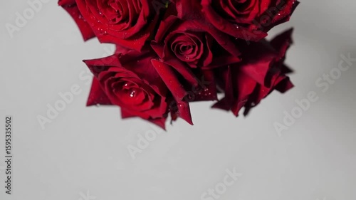 Elegant Red Rose Posy with Water Droplets on Pure White Wedding Background
