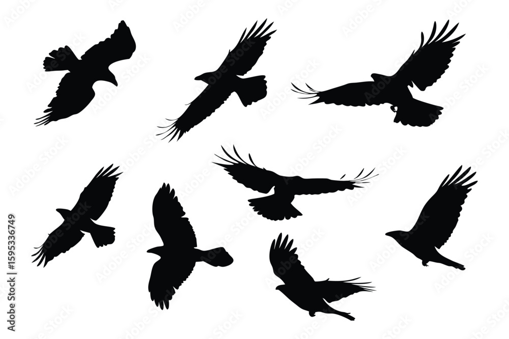 Fototapeta premium Silhouette of Cranes in Flight, Showing a Powerful Migration