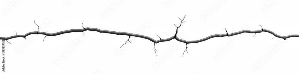 Obraz premium Detailed, textured branch with intricate twigs and transparency background, showcasing natural elements and organic shapes