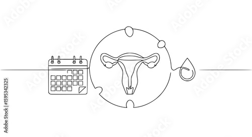 Single line outline vector of menstrual cycle with calendar and uterus  