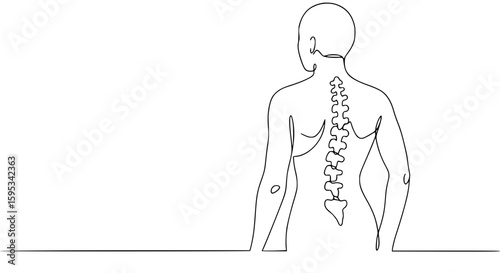 Minimalist outline of a human figure showing the spine anatomy concept  