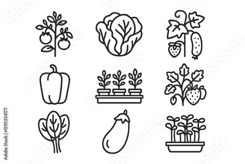 Lettuce crop spinach equally captions no cucumber greenhouse icons icon characters vector