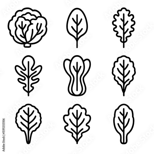 Transparent numbers isolated icon leafy no aquaponics icons text vector bok grid