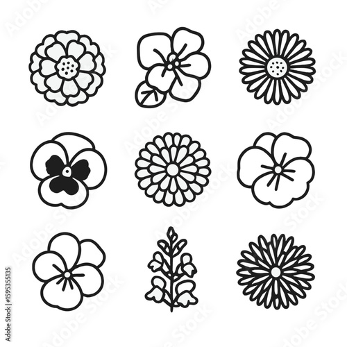 Flower snapdragon set icons spaced typography numbers vector icon aquaponics zinnia any