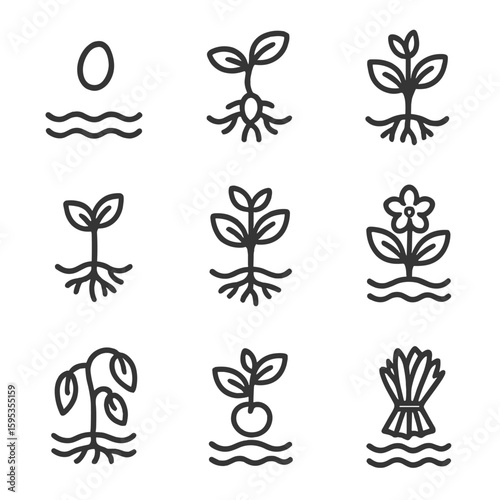 Vector harvested text uniform growth icon icons grid seed aquaponics no fruiting