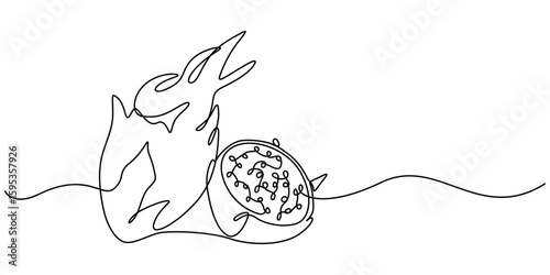 Single continuous line drawing whole healthy organic dragon fruit for orchard logo identity. Fresh dragonfruit concept for fruit garden icon, Continuous one single minimal line Dragon Fruit, pitaya.