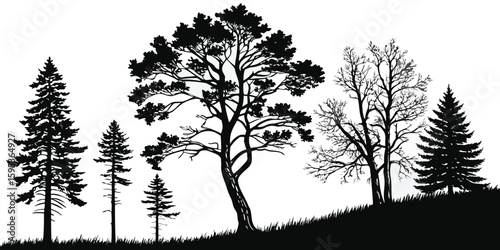 Vector Silhouettes of Diverse Tree Species – Conifers and Deciduous Trees, Minimalist Style