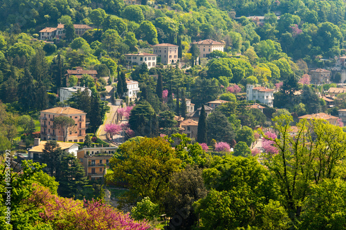 Houses surrounded with trees, Eco-friendly neighbourhood