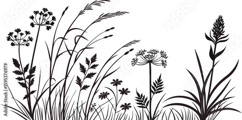 Highly Detailed Vector Silhouettes of Botanical Elements – Grass, Herbs, Flowers & Foliage