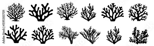 Black coral silhouette. diverse coral species vector illustration, detailed coral in marine life illustrations isolated on white, perfect for educational content and ocean themed designs