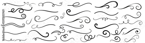 black swirls and flourishes vector set
