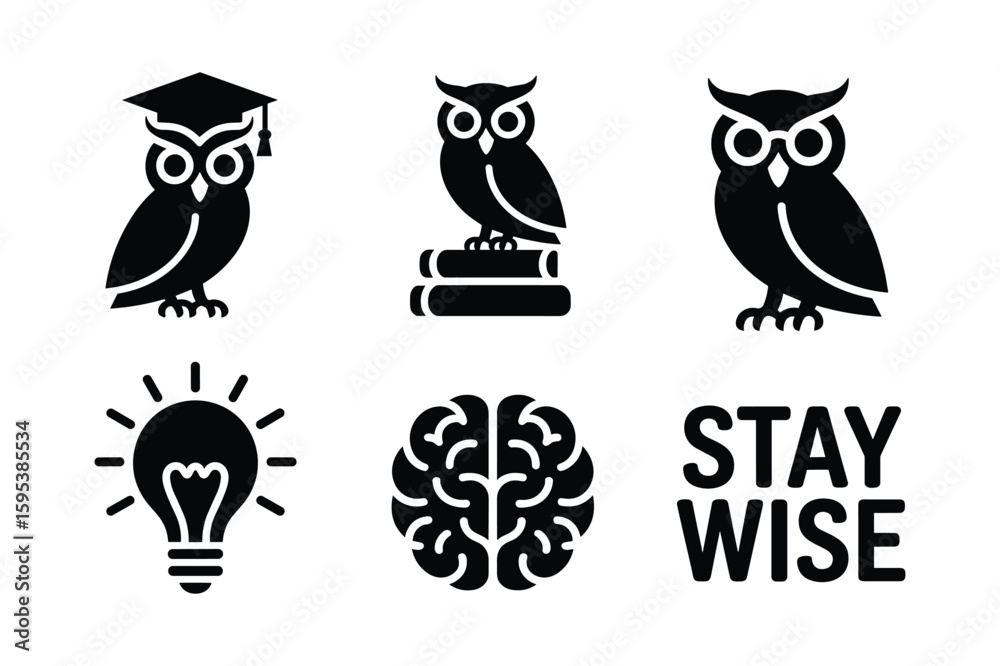 Obraz premium Owl graduation cap books lightbulb brain stay wise vector