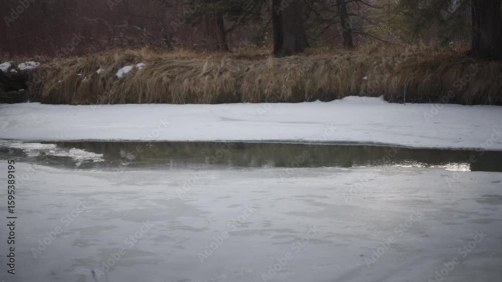 custom made wallpaper toronto digitalPartly frozen river in the natural park in winter