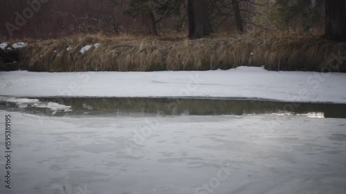 Wallpaper Mural Partly frozen river in the natural park in winter Torontodigital.ca