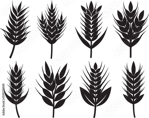 set of wheat silhouette, black and white silhouette, vector and illustration
