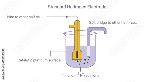 Assigned a standard electrode potential. The standard Hydrogen Electrode reference consisting of a platinum electrode in contact with 1MH plus ions and hydrogen Vector illustration.Pressure electrodes