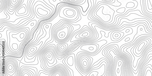 Abstract topography wave lines pattern on white background, topographic contours map background, geographic contour map vector background, White paper curved reliefs for background.
