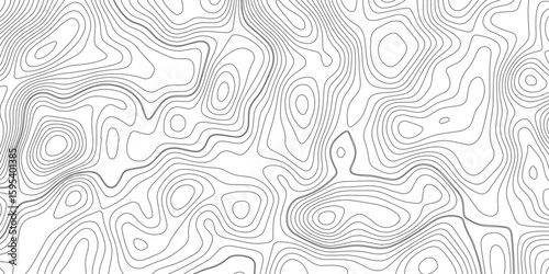 Abstract topography wave lines pattern on white background, topographic contours map background, geographic contour map vector background, White paper curved reliefs for background.