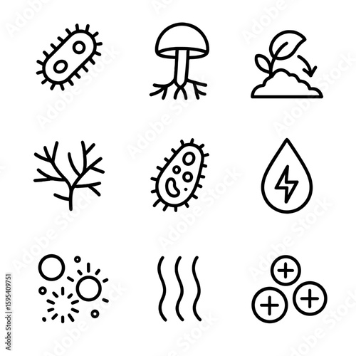 Fungi enzyme isolated breaking protozoa icon chinese icons microbial characters composting vector