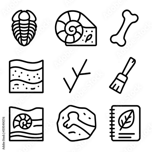 Fossil Systematics Icons. Outline style icons of Fossil Systematics: trilobite fossil, ammonite spiral, fossil record layer,