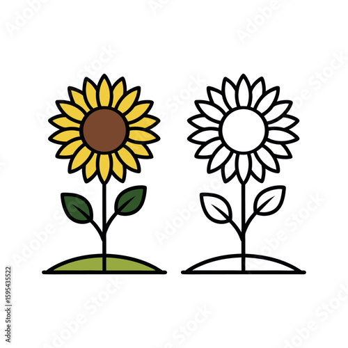 Sunflower in Flower Bed Illustration for Summer Garden and Floral Scene
