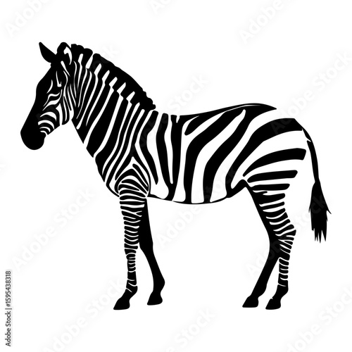 Detailed Zebra Animal with Stripes Vector Illustration