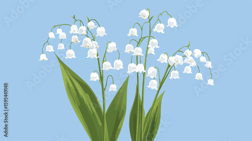 Delicate Lily of the Valley Flowers Closeup for Floral Designs