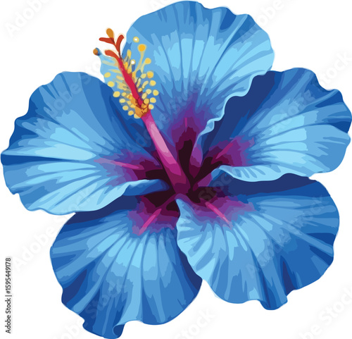 Hibiscus flower