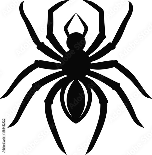 Black silhouette of a spider isolated on white background