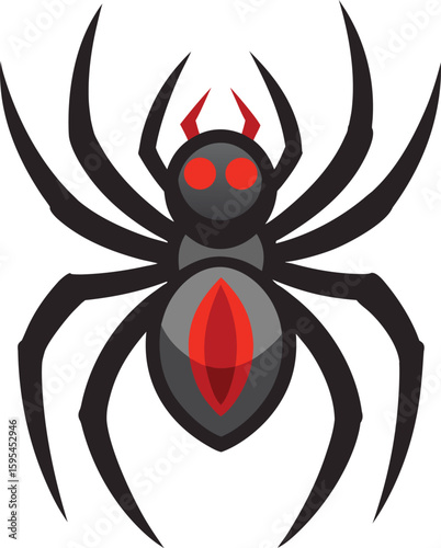 Black widow spider with red hourglass marking isolated on white background
