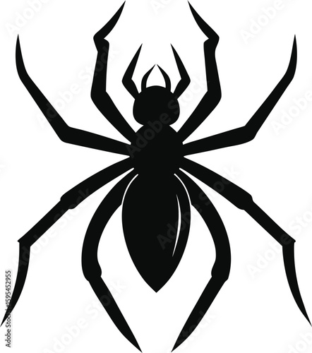 Black silhouette of a spider isolated on white background