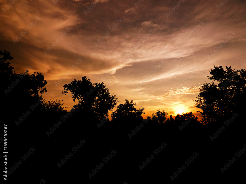 Fototapeta premium Setting Sun_1010976