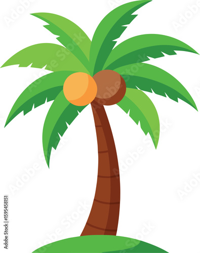 Cartoon coconut palm tree with coconuts isolated on white background