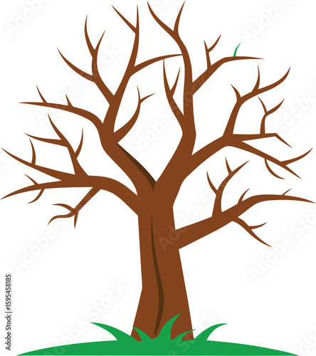 Bare tree with brown trunk and branches isolated on white background