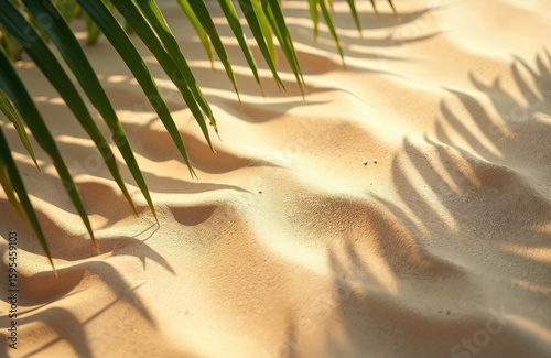 Sandy beach with palm leaf shadows creating a tropical summer vibe. Close-up of sand texture, casting wavy patterns from sunlight. Relaxing, tranquil scene perfect for vacation or travel themes.