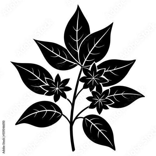 Design a natural botanical blend using herbs, flowers, and plant elements for a specific purpose such as wellness, aroma, or skincare. Focus on harmony, scent, and benefits