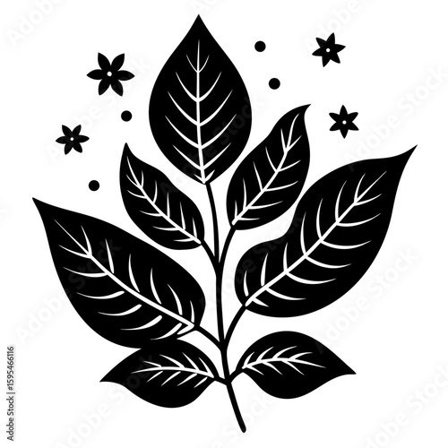 Design a natural botanical blend using herbs, flowers, and plant elements for a specific purpose such as wellness, aroma, or skincare. Focus on harmony, scent, and benefits