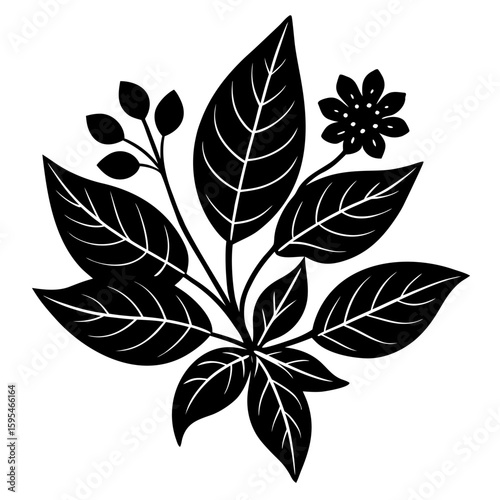Design a natural botanical blend using herbs, flowers, and plant elements for a specific purpose such as wellness, aroma, or skincare. Focus on harmony, scent, and benefits
