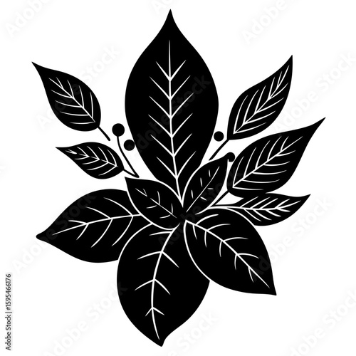 Design a natural botanical blend using herbs, flowers, and plant elements for a specific purpose such as wellness, aroma, or skincare. Focus on harmony, scent, and benefits