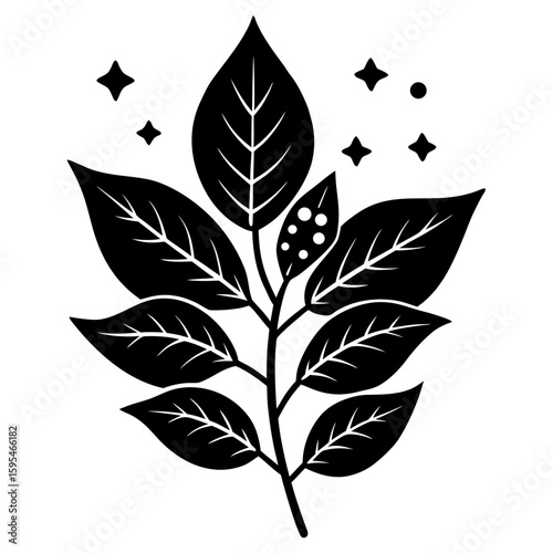 Design a natural botanical blend using herbs, flowers, and plant elements for a specific purpose such as wellness, aroma, or skincare. Focus on harmony, scent, and benefits