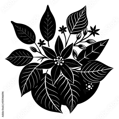 Design a natural botanical blend using herbs, flowers, and plant elements for a specific purpose such as wellness, aroma, or skincare. Focus on harmony, scent, and benefits