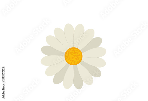 Wallpaper Mural Daisy flower illustration with white petals and yellow center   Torontodigital.ca