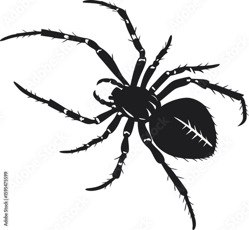 Black Spider Silhouette, vector