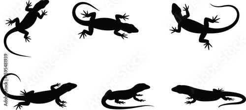 Lizard silhouette vector set, reptile pose illustration collection, black outline animal design, nature crawling shapes, wildlife graphic artwork pack